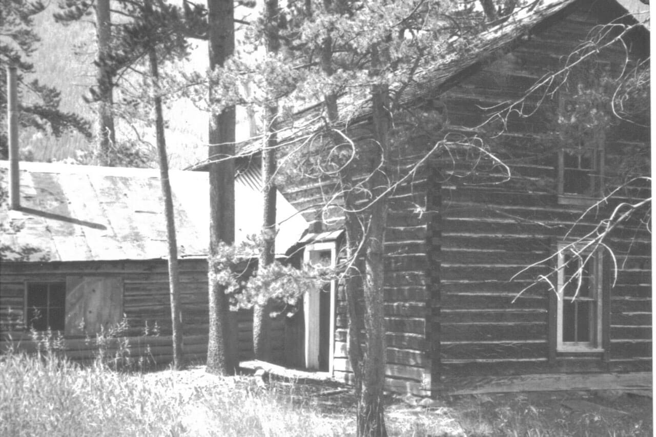 Old time photo of log house surrounded by pines