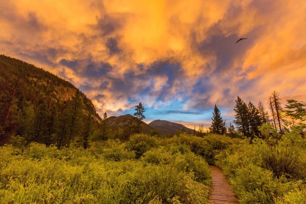 Wooden trail through willows and colorful clouds in sky on Rainbow Lake trail in Frisco