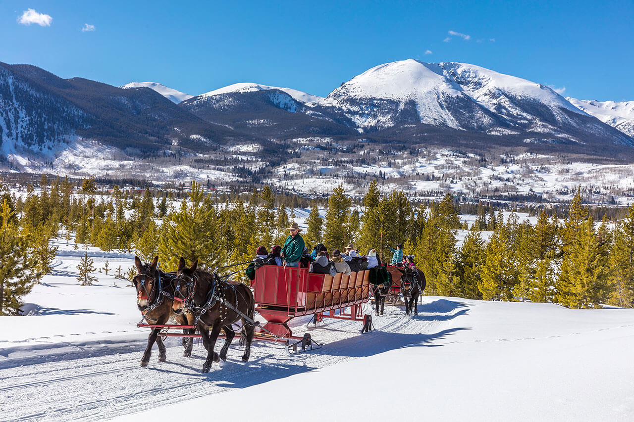 Two mules pulling sleigh of people on snow with Buffalo Mountain in background