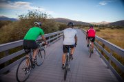Three cyclists riding away from camera on bridge above wetlands.
