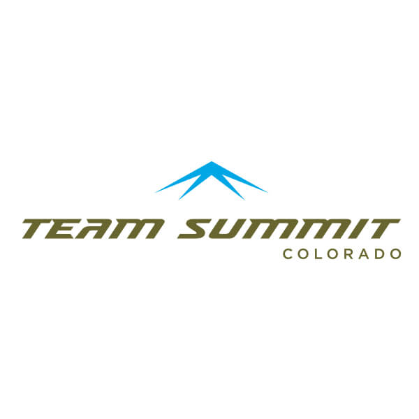 Team Summit Logo