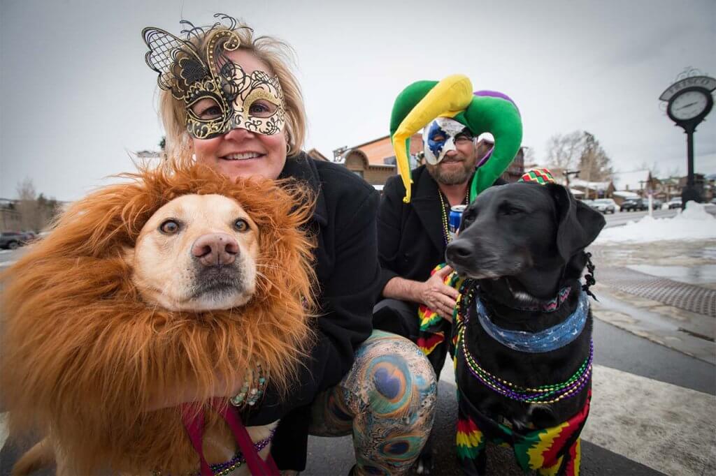Dogs and humans in costume at Mardi Gras 4Paws parade