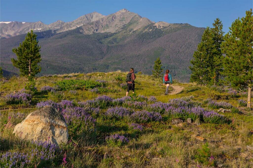 Couple hiking on trail at Frisco Peninsula with flowers