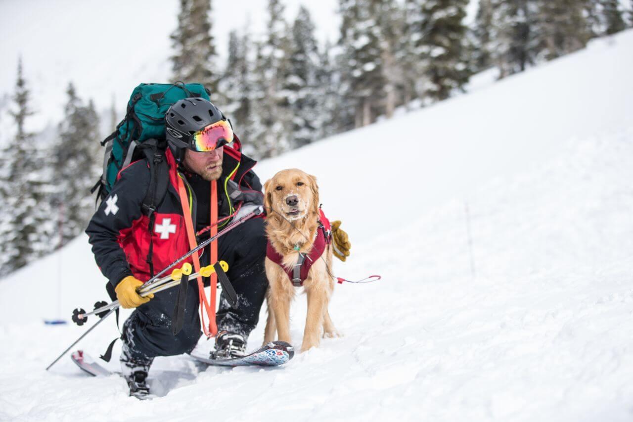 A photograph of a man and a dog. The man is dressed in a bright red coat with black ski pants wearing goggles, a helmet, and a large backpack. The dog is medium size with yellow hair and wearing a red harness.